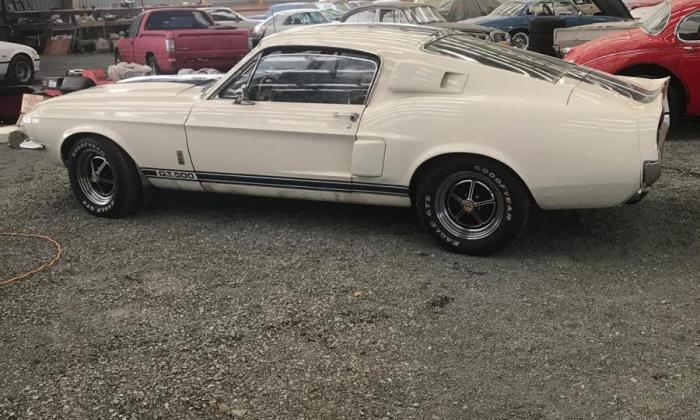 1967 Ford Mustang GT500 Shelby white original unrestored (3).jpg