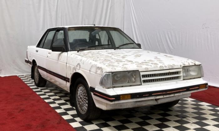 Nissan Bluebird 80s TRX images white (1).jpg