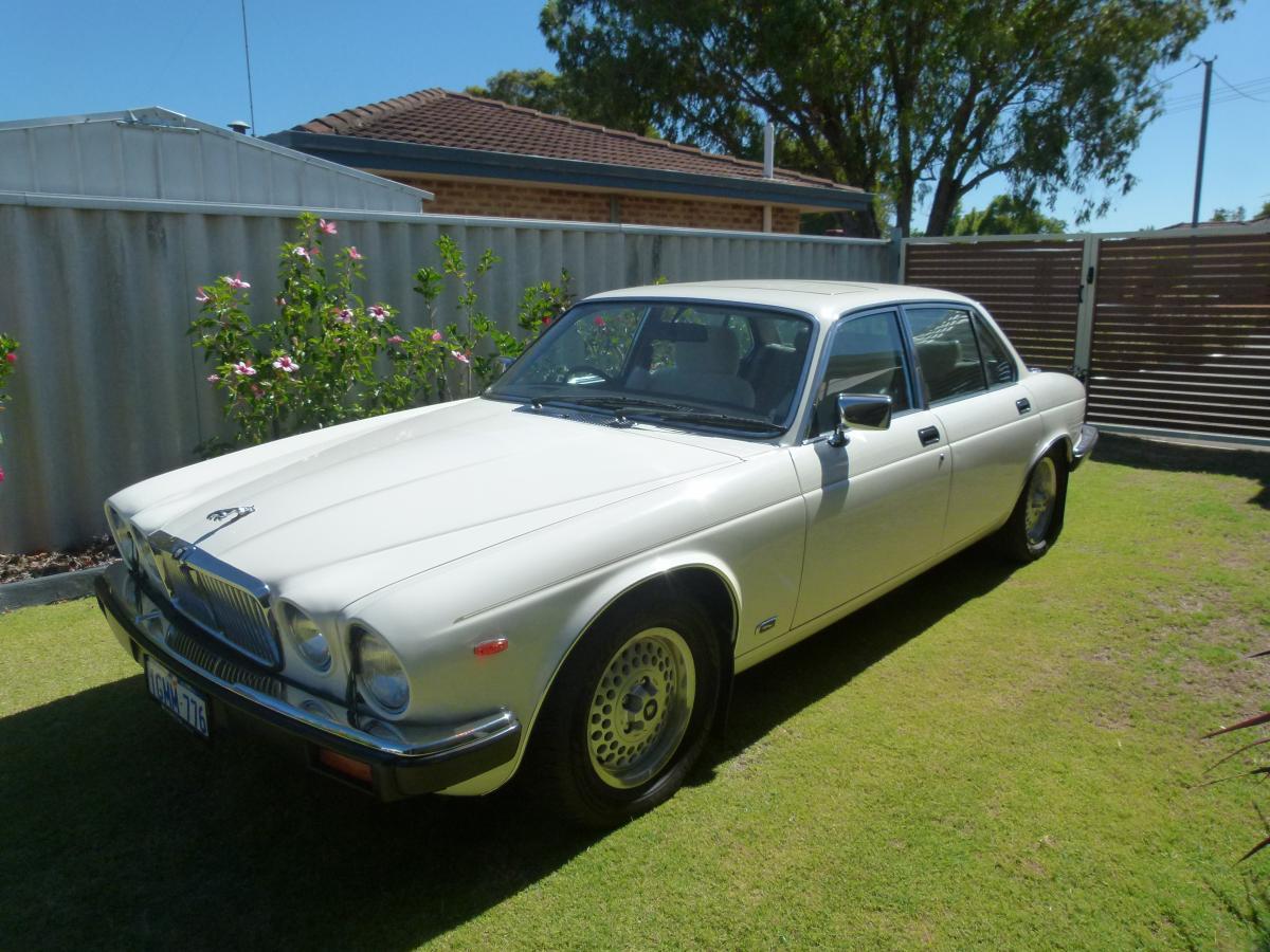 190126 Jaguar xj12.JPG