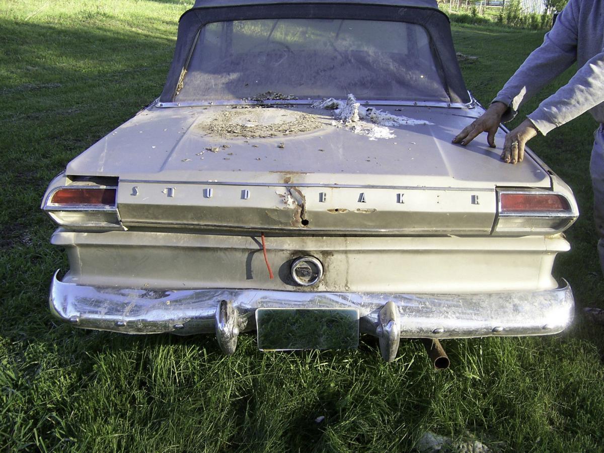 1964 Studebaker Daytona Convertible 7.JPG