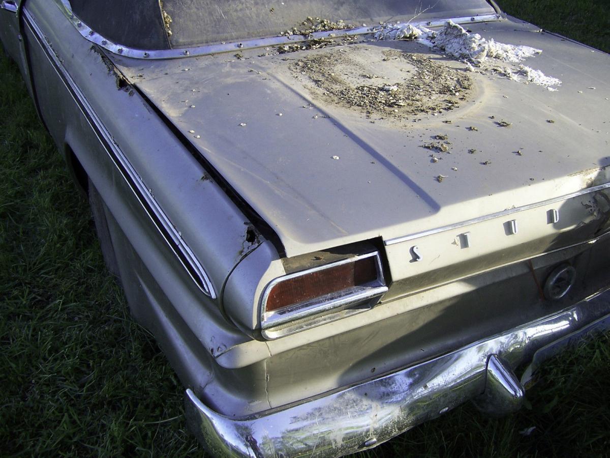 1964 Studebaker Daytona Convertible 8.JPG