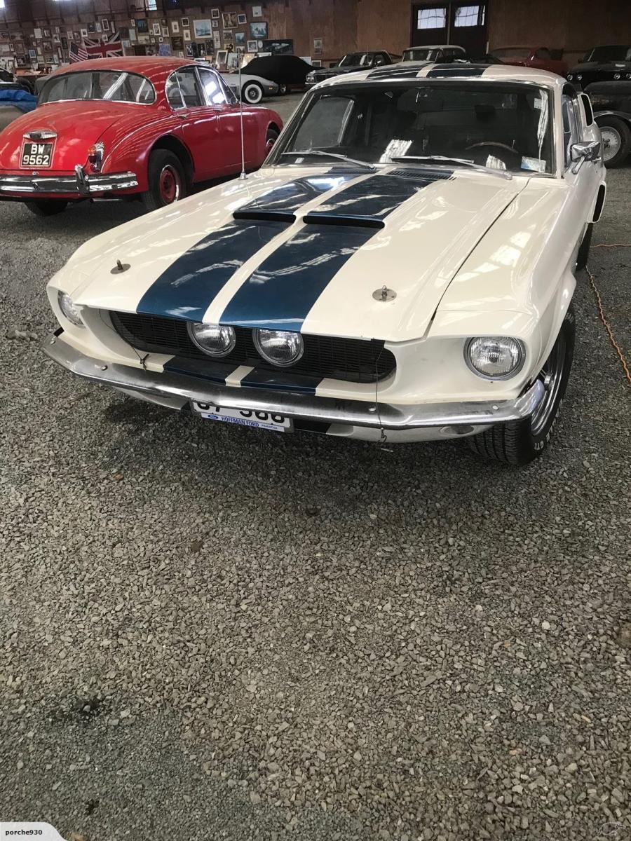 1967 Ford Mustang GT500 Shelby white original unrestored (8).jpg