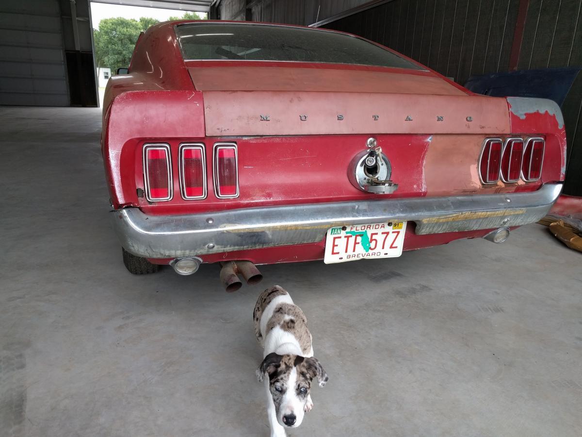 1969 Mustang Mach1 restoration project (10).jpg