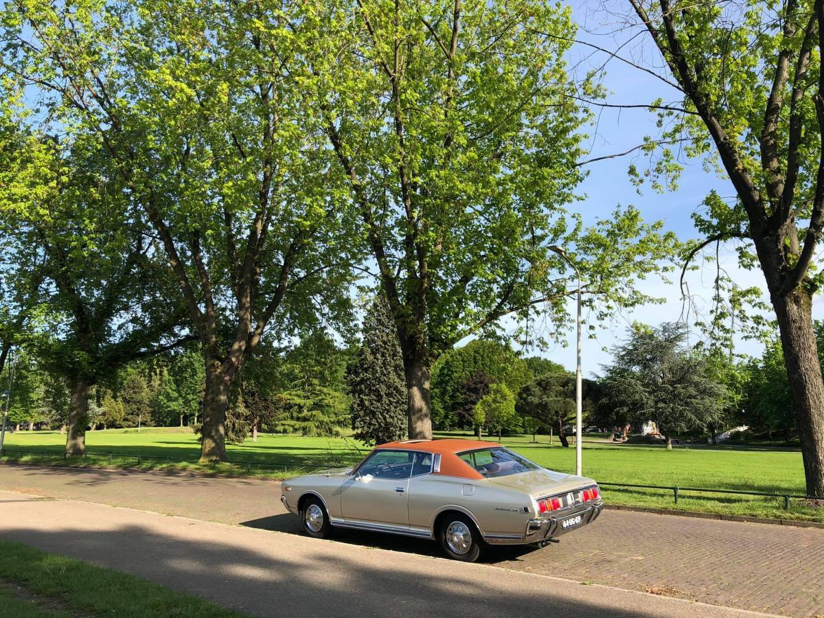 1978 Datsun 260C Hardtop coupe images Netherlands Europe 2021 restored (6).jpg