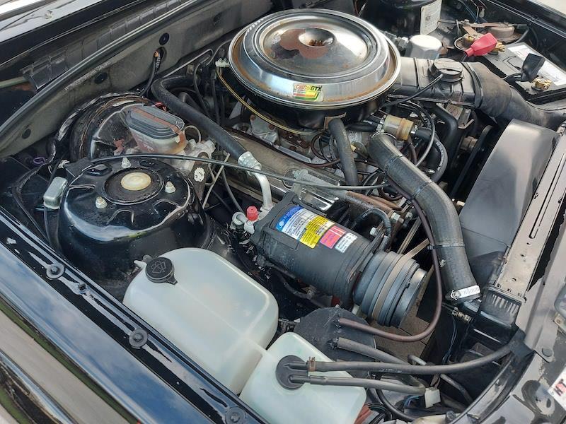 1980 VC Holden Commodore HDT Tuxedo Black V8 manual (20).jpg