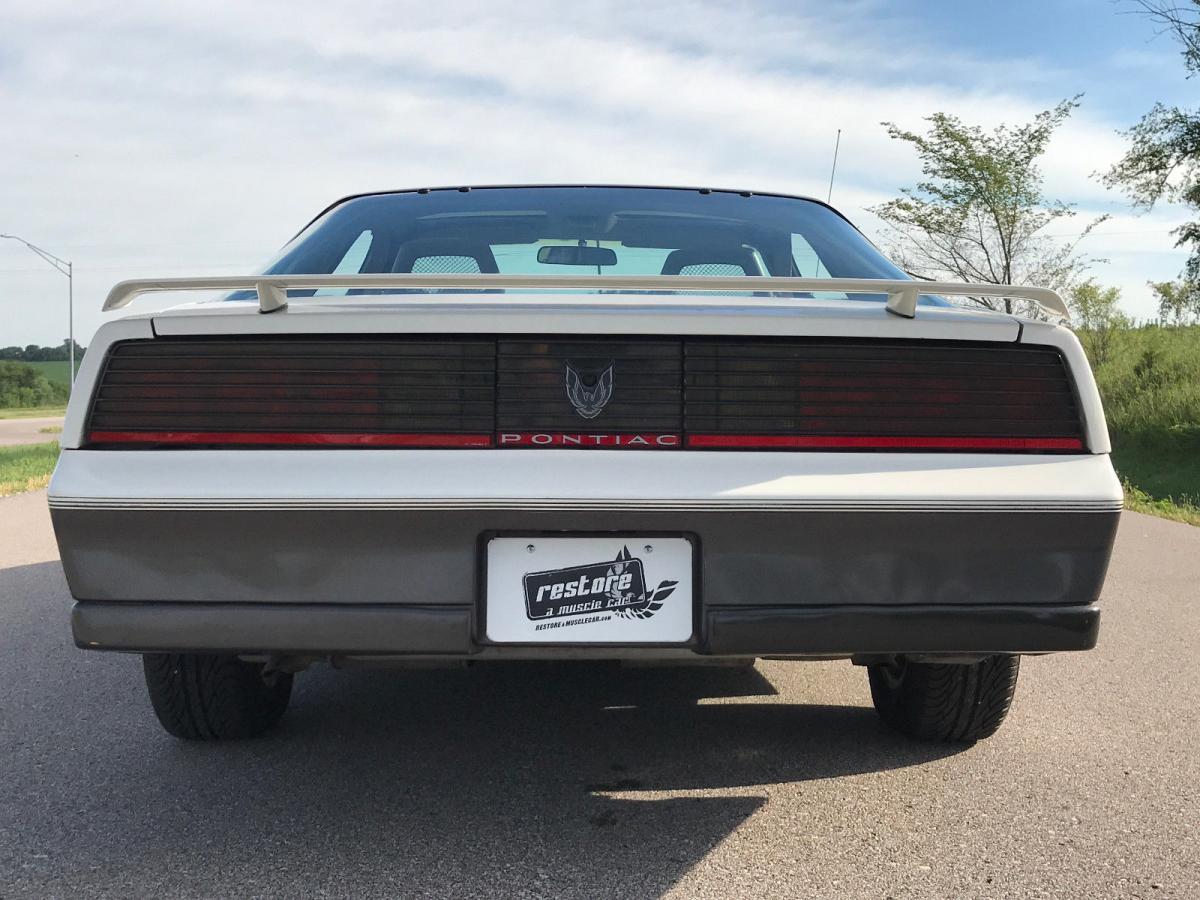 1983 Pontiac Trans-Am Daytona 500 limited edition pace car white on grey (5).jpg