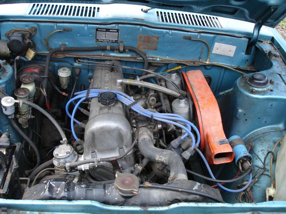 317773_123685717736961_100002866006837_118719_417663857_n[1].jpg