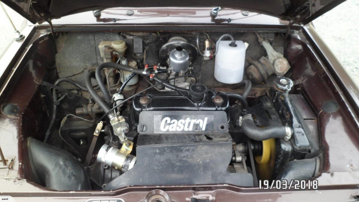 Bronze Mini 1275 GT New Zealand images Classic Register 1979 Mini GT (6).jpg