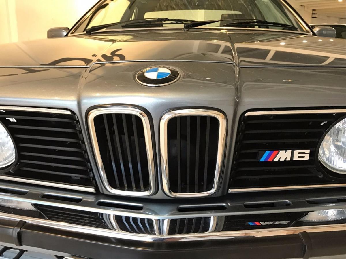 E24 M6 BMW front grille.jpg