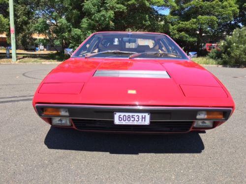 Ferrari GT4 Dino front grille.jpg