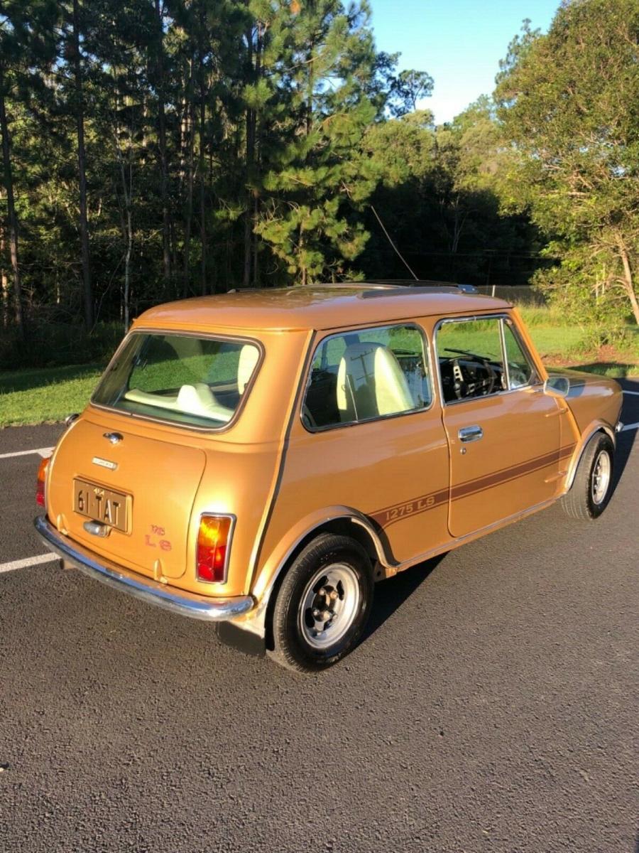 LS Mini 1275 Nugget Gold Nov 2019 images (4).jpg