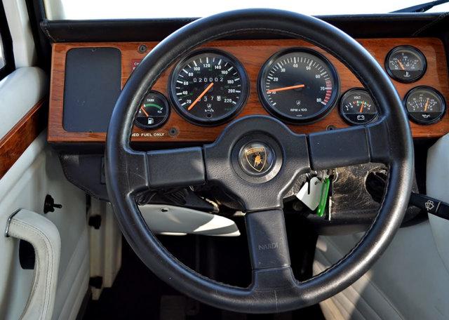 Lamborghini LM 001 Steering wheel and dash cluster.jpg