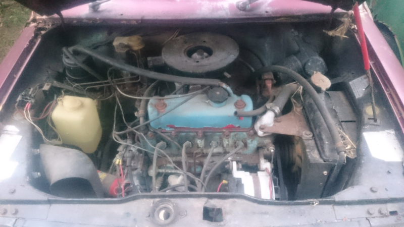 Leyland Mini LS 998cc wrecking rusted (3).PNG