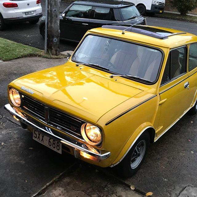 Leyland Mini Sunshine Yellow Devil colour images all original 1977 Adelaide SA (9).jpg