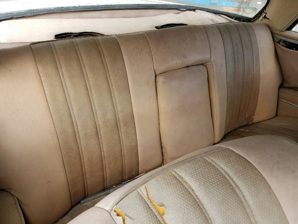 Mercedes W111 250SE coupe beige interior (2).jpg