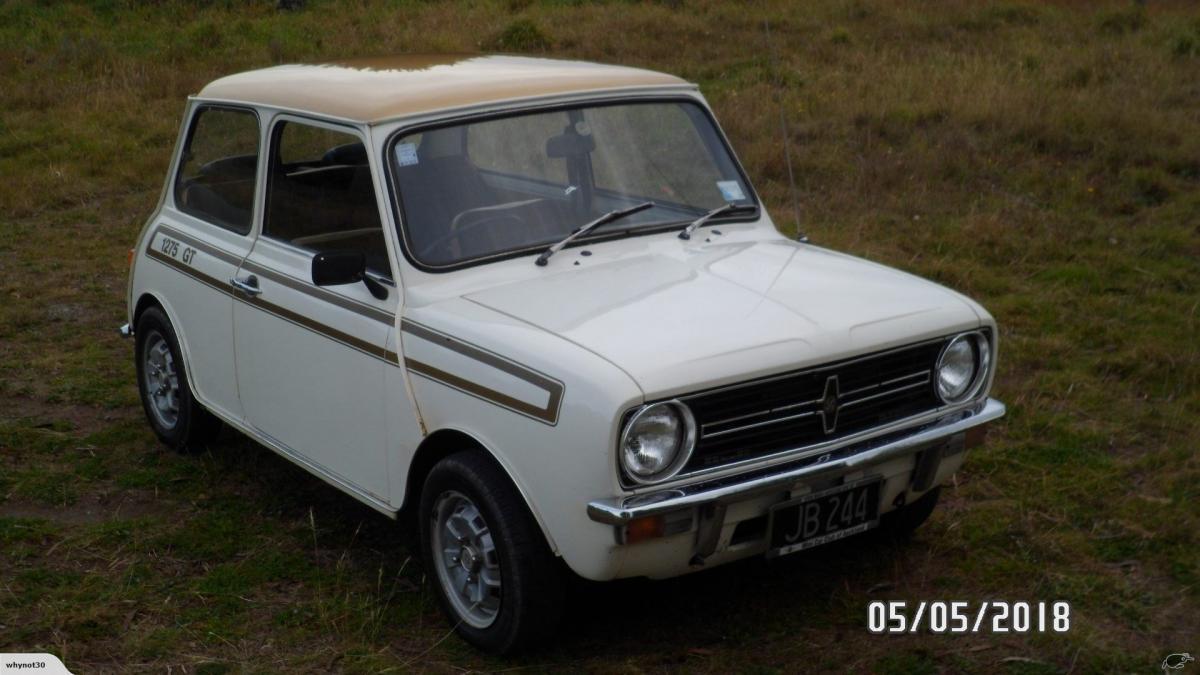 New Zealand white with Gold stripe 1275 GT Mini images (1).jpg