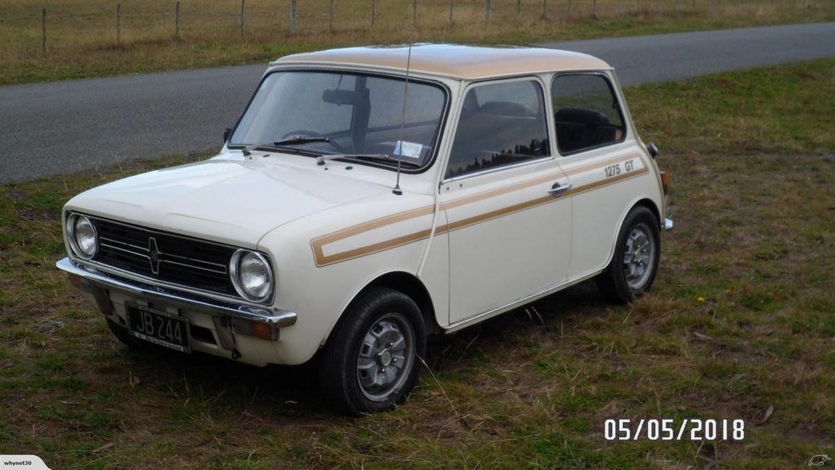 New Zealand white with Gold stripe 1275 GT Mini images (2).jpg