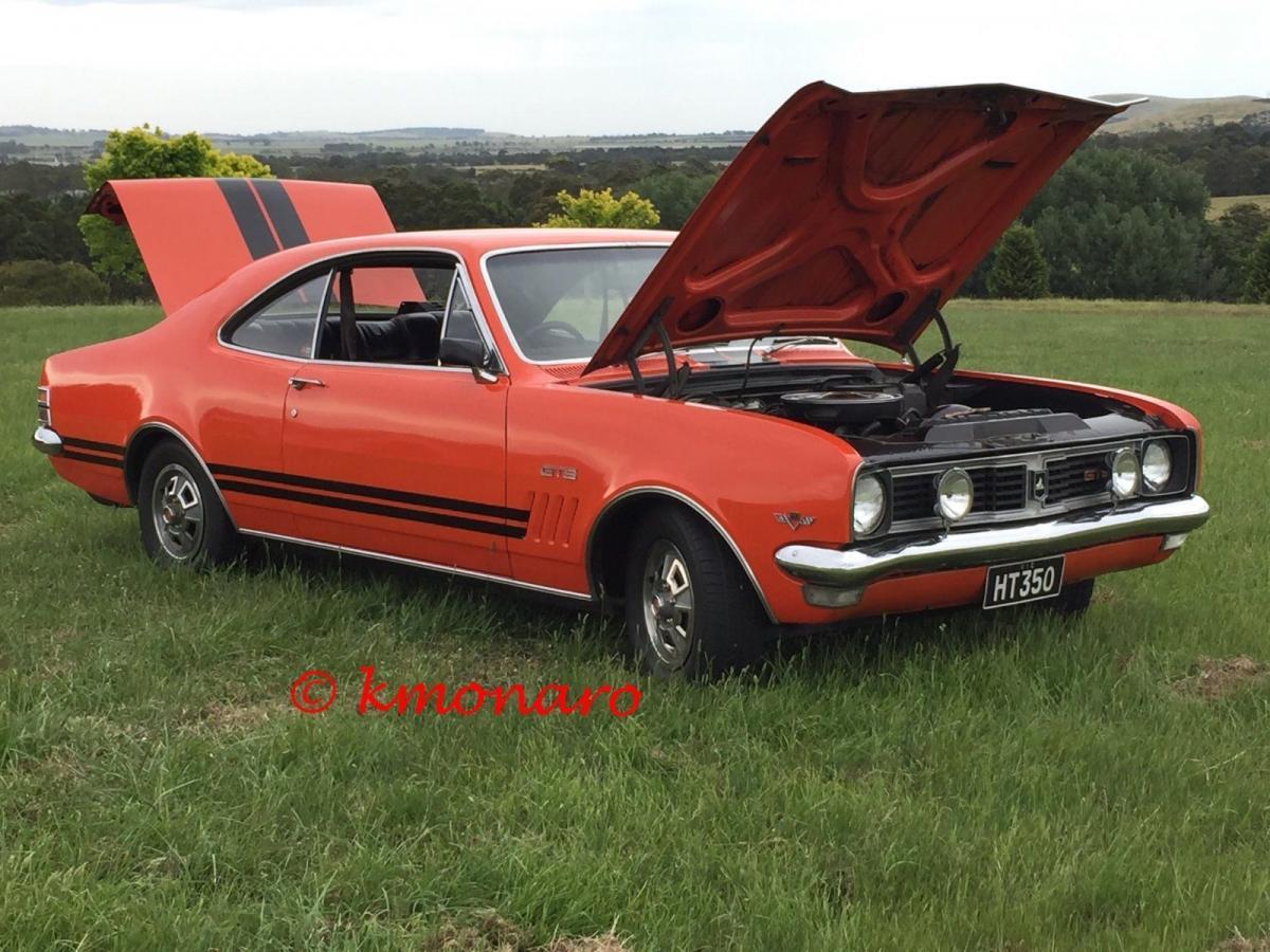 Organe Monaro HT.jpg