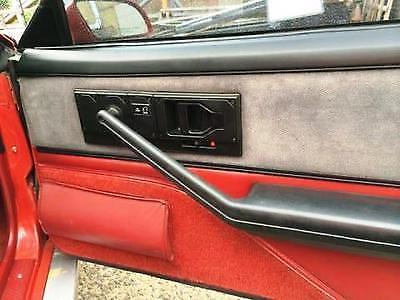 Pontiac Trans Am GTA door skin.jpg