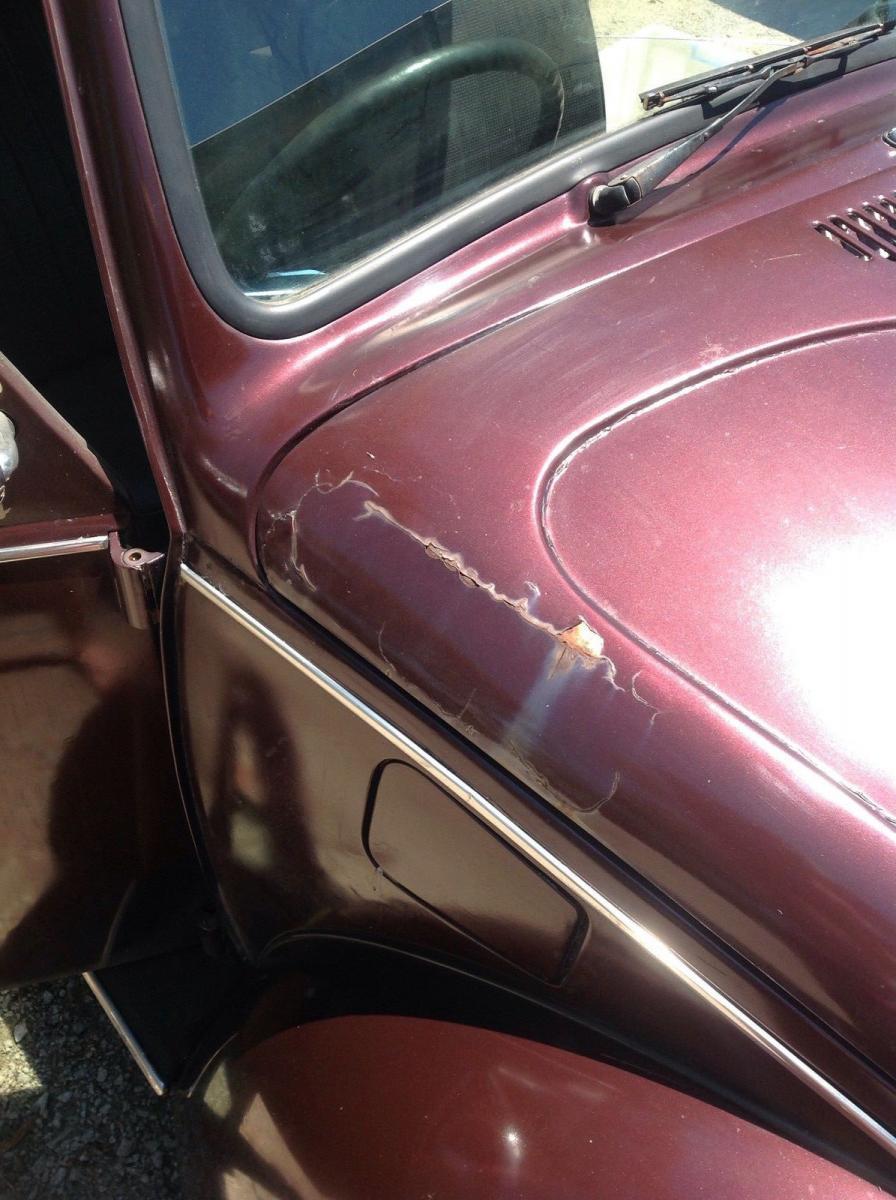 VW beetle 1600 bonnet rust.jpg