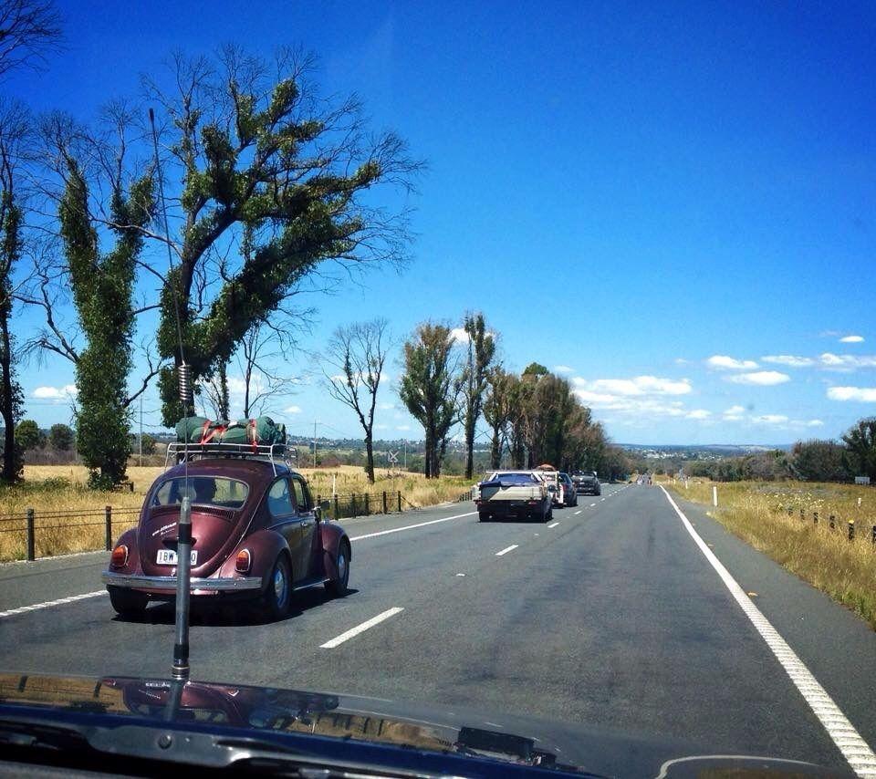 VW beetle 1600 on the road.jpg