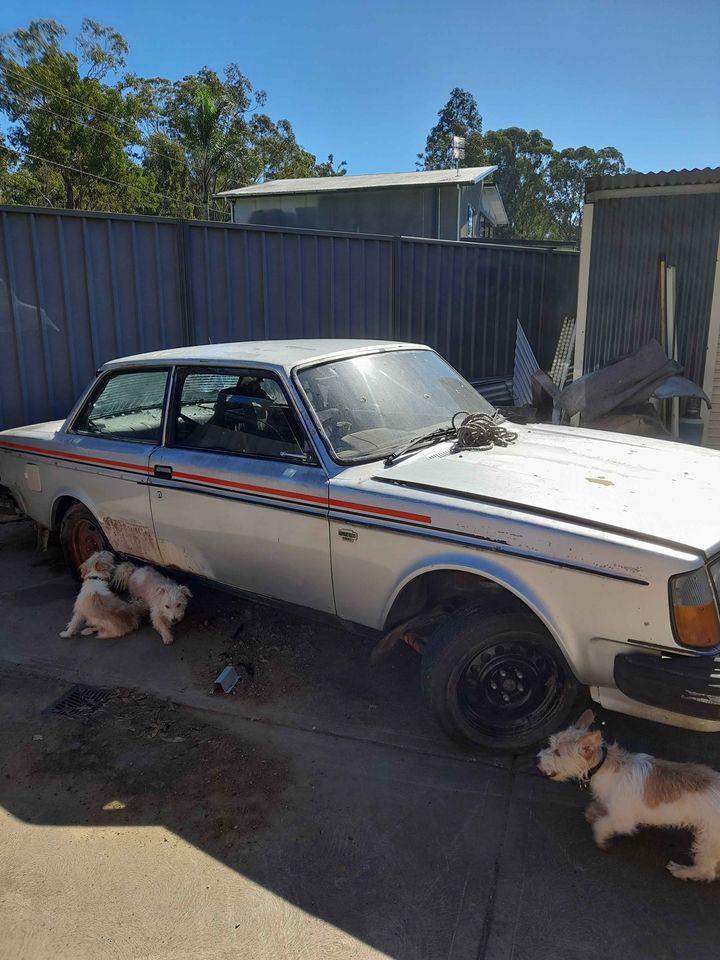 Volvo 242 GT rally car Australia pictures 1979 (15).jpg