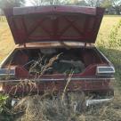 1965 STudebaker Daytona Sport Sedan Bordeaux Red wreck unrestored image (3).jpg