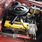 1966 Studebaker Daytona Sport Sedan V8 red white roof (12) VY engine bay thunderbolt v8.jpg