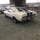 1967 Ford Mustang GT500 Shelby white original unrestored (4).jpg