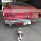 1969 Mustang Mach1 restoration project (10).jpg