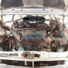 1974 Leyland Mini GTS SA for restoration (2).png