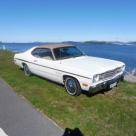 1974 Plymouth Gold Duster white NZ (1).jpg