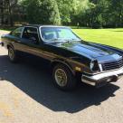 1975 Black Chevy Cosworth Vega Number 1101 (3).jpg