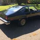 1975 Black Chevy Cosworth Vega Number 1101 (4).jpg
