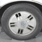 1981 VH Commodore SL-E Holden two tone image (10).jpg