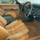 1982 XE ESP Sierra Tan trim images classicregister.com (8).jpg