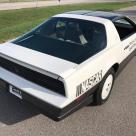 1983 Pontiac Trans-Am Daytona 500 limited edition pace car white on grey (3).jpg