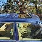 1986 Mercedes 560 SEL Blue sedan Australian delivered images (6).jpg