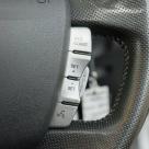 2016 FG X G6E Turbo steering wheel controls image (1).jpg