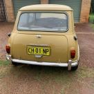 Camino Gold Mini MK2 Cooper S Australia (8).jpg