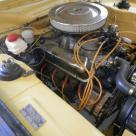 Ford Capri Perana Basil Green engine.jpg