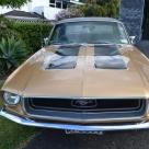 Ford Mustang 1968 Golden Nugget special edition images NZ (6).jpg