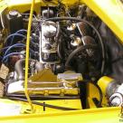 Fully restored 1977 Leyland Mini Sunshine Yellow Devil pictures 2018 restored Tasmania (4).jpg