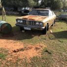 MX23 Toyota Corona MK2 Hardtop Gold images Australia (1).jpg