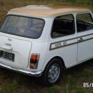 New Zealand white with Gold stripe 1275 GT Mini images (4).jpg