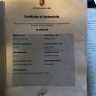 Porsche 911 Carerra Targa certificate of authenticity.jpg