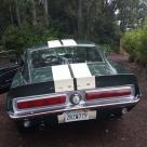 Shelby mustang rear tail lights and exhaust.jpg