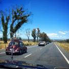 VW beetle 1600 on the road.jpg